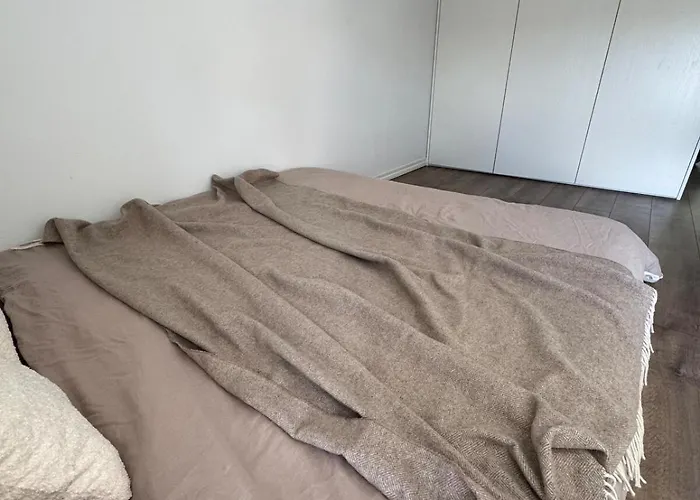 アパート Locusdo Nr 32 ヴィリニュス